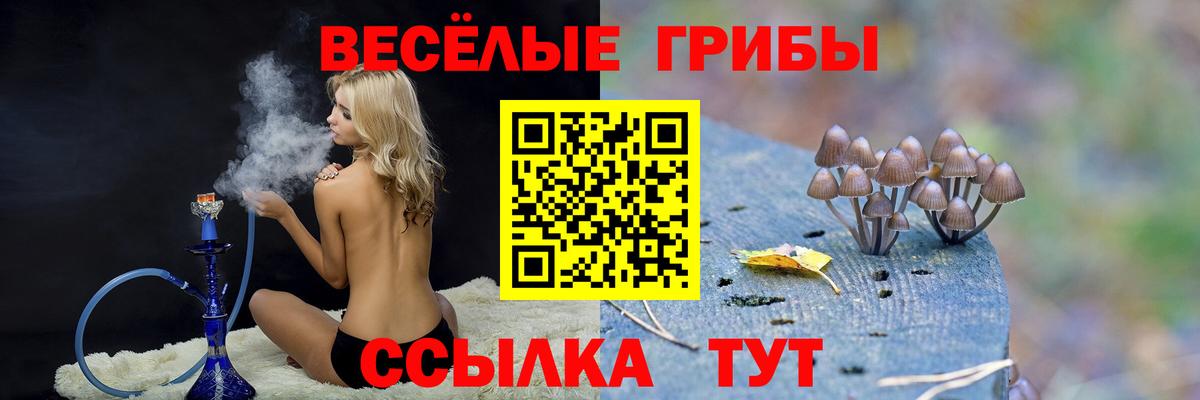 Псилоцибиновые грибы мухоморы  Вход с VPN  Сертолово 